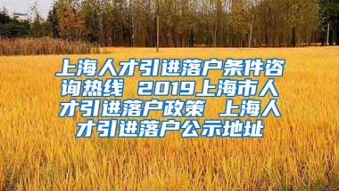 上海人才引进落户条件咨询热线 2019上海市人才引进落户政策 上海人才引进落户公示地址