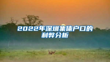 2022年深圳集体户口的利弊分析