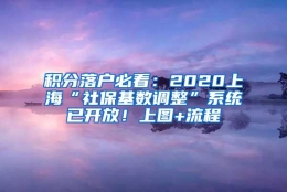 积分落户必看：2020上海“社保基数调整”系统已开放！上图+流程