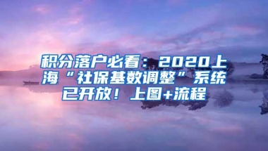 积分落户必看：2020上海“社保基数调整”系统已开放！上图+流程