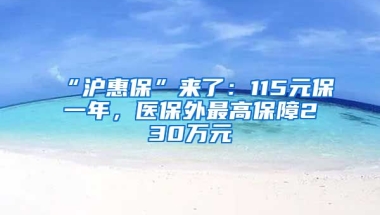 “沪惠保”来了：115元保一年，医保外最高保障230万元