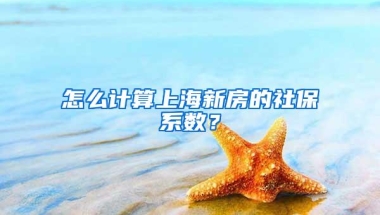 怎么计算上海新房的社保系数？