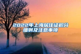 2022年上海居住证积分细则及注意事项