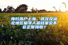 海归落户上海，武汉及湖北地区留学人员档案会不会正常接收？