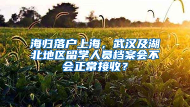 海归落户上海，武汉及湖北地区留学人员档案会不会正常接收？