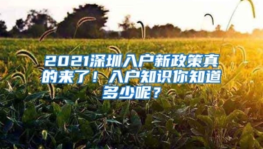 2021深圳入户新政策真的来了！入户知识你知道多少呢？