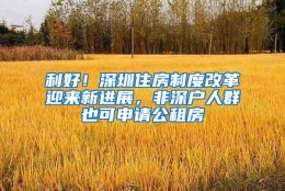 利好！深圳住房制度改革迎来新进展，非深户人群也可申请公租房