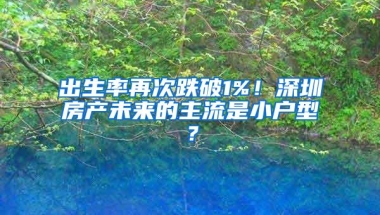 出生率再次跌破1%！深圳房产未来的主流是小户型？