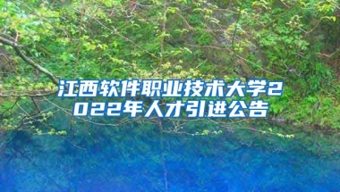 江西软件职业技术大学2022年人才引进公告