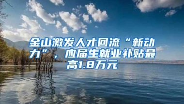 金山激发人才回流“新动力”，应届生就业补贴最高1.8万元