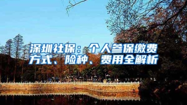 深圳社保：个人参保缴费方式、险种、费用全解析