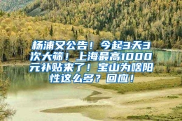 杨浦又公告！今起3天3次大筛！上海最高1000元补贴来了！宝山为啥阳性这么多？回应！