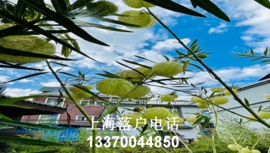 上海7年居转户，有效累计月份应如何理解？