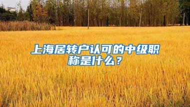 上海居转户认可的中级职称是什么？