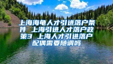 上海海龟人才引进落户条件 上海引进人才落户政策3 上海人才引进落户配偶需要随调吗