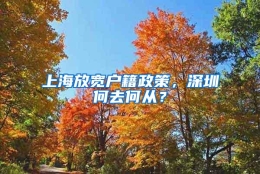 上海放宽户籍政策，深圳何去何从？