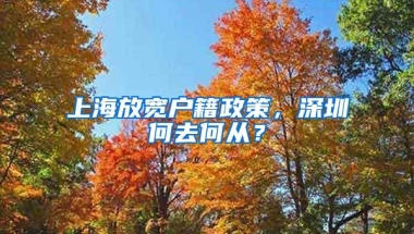 上海放宽户籍政策，深圳何去何从？