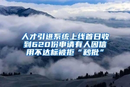 人才引进系统上线首日收到620份申请有人因信用不达标被拒“秒批”