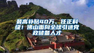 最高补贴40万、任正科级！佛山面向全球引进党政储备人才