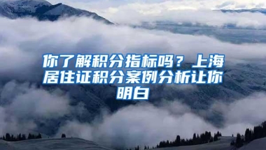 你了解积分指标吗？上海居住证积分案例分析让你明白