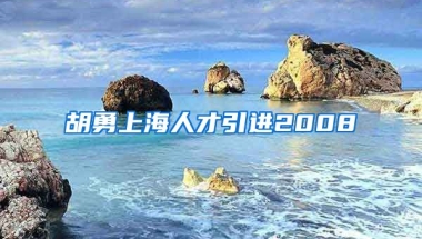 胡勇上海人才引进2008