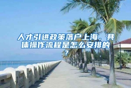 人才引进政策落户上海，具体操作流程是怎么安排的？