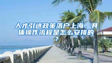 人才引进政策落户上海，具体操作流程是怎么安排的？