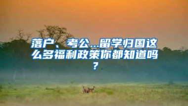 落户、考公...留学归国这么多福利政策你都知道吗？