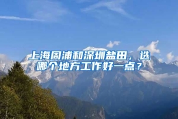 上海周浦和深圳盐田，选哪个地方工作好一点？