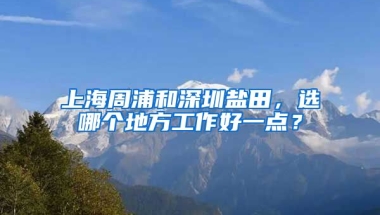 上海周浦和深圳盐田，选哪个地方工作好一点？