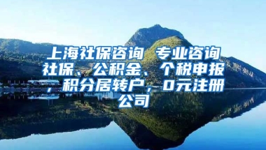 上海社保咨询 专业咨询社保、公积金、个税申报，积分居转户，0元注册公司