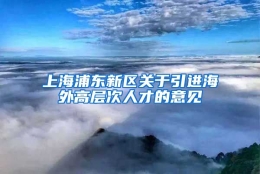 上海浦东新区关于引进海外高层次人才的意见