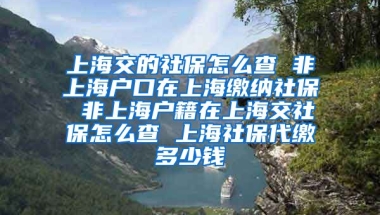 上海交的社保怎么查 非上海户口在上海缴纳社保 非上海户籍在上海交社保怎么查 上海社保代缴多少钱