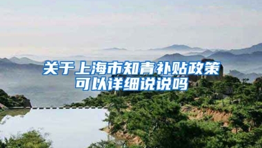 关于上海市知青补贴政策可以详细说说吗