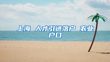 上海 人才引进落户 农业户口