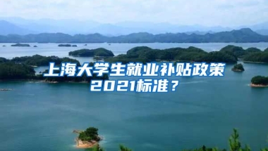 上海大学生就业补贴政策2021标准？