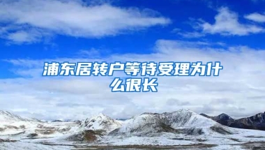 浦东居转户等待受理为什么很长