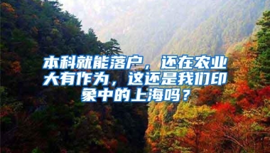 本科就能落户，还在农业大有作为，这还是我们印象中的上海吗？