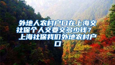 外地人农村户口在上海交社保个人交要交多少钱？ 上海社保我们外地农村户口