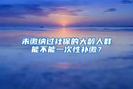 未缴纳过社保的大龄人群能不能一次性补缴？