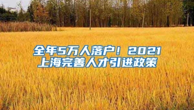 全年5万人落户！2021上海完善人才引进政策