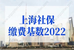 上海社保基数调整操作流程，上海社保缴费基数2022最新规定