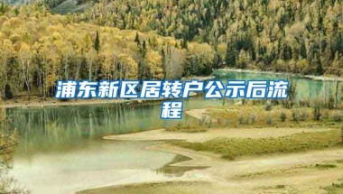 浦东新区居转户公示后流程