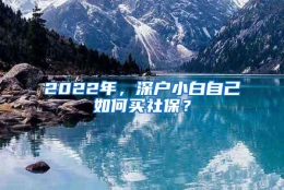 2022年，深户小白自己如何买社保？