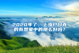 2020年了，上海户口真的有想象中的那么好吗？