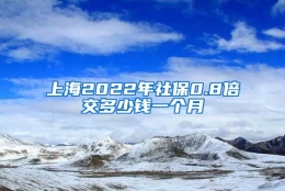 上海2022年社保0.8倍交多少钱一个月