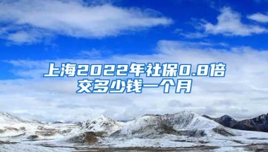 上海2022年社保0.8倍交多少钱一个月