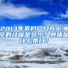 2013年农村户口在上海交的社保是多少？具体是什么条目？