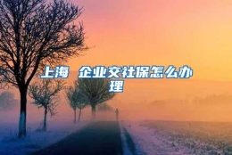 上海 企业交社保怎么办理