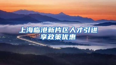 上海临港新片区人才引进享政策优惠